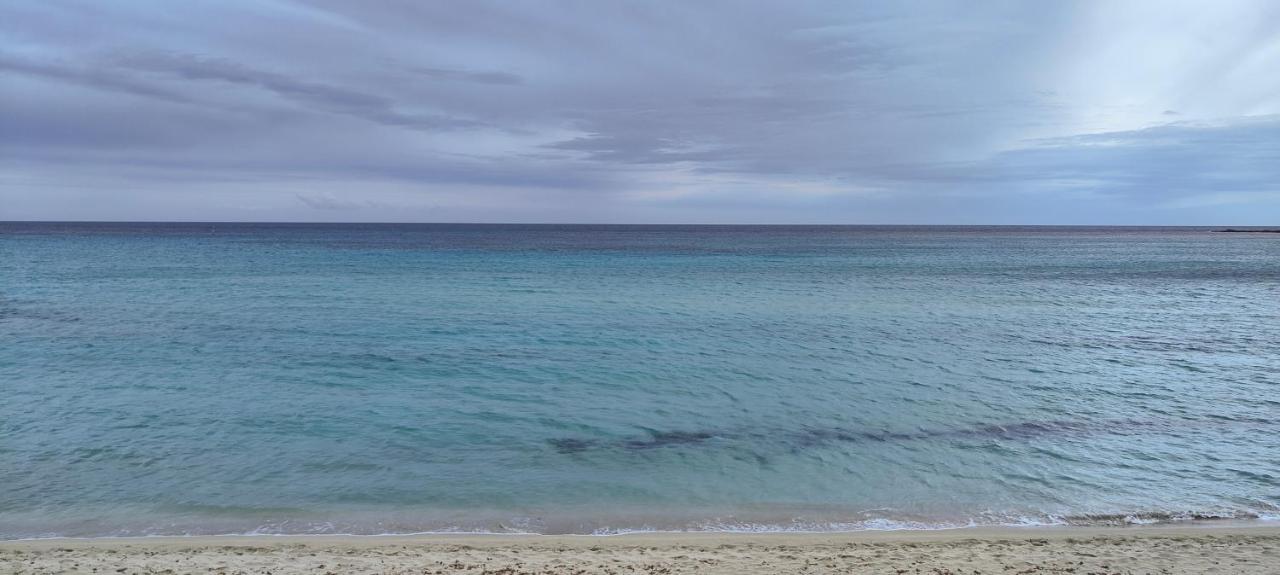 Villa Seahorse, Fontane Bianche, Siracusa, Beachfront, Great Wifi, Beautiful Garden Buitenkant foto